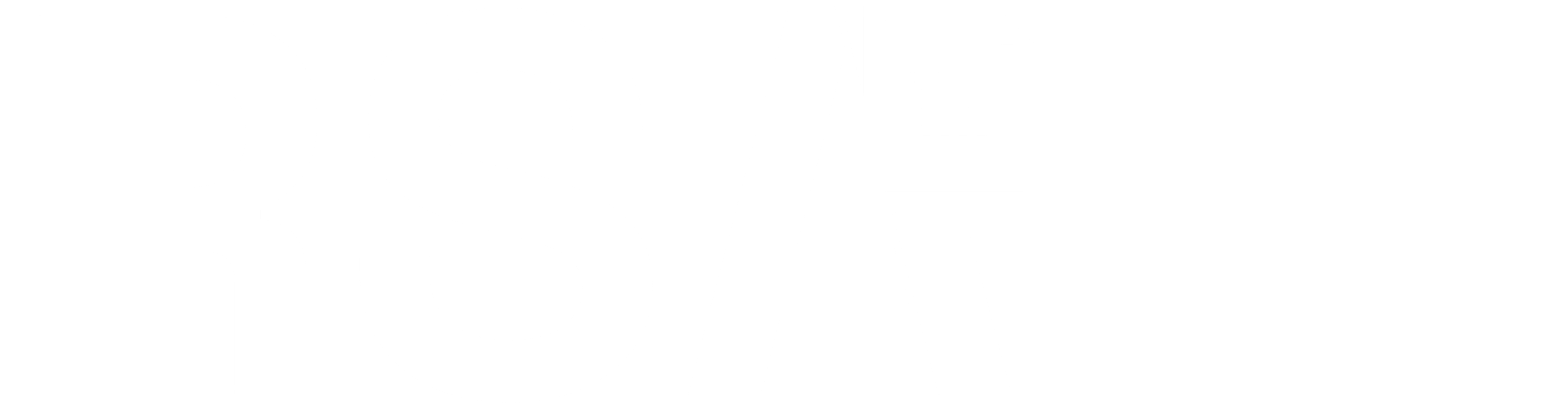 Logótipo RSA Darkmode